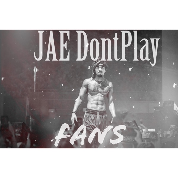 Fans single artwork