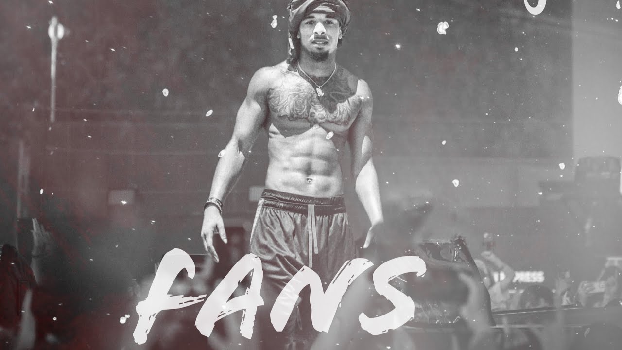 FANS video artwork